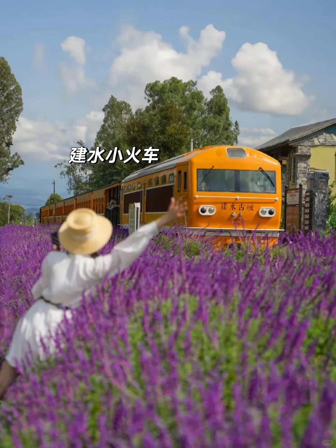 反向旅游!安利一个22℃的冷门避暑小城