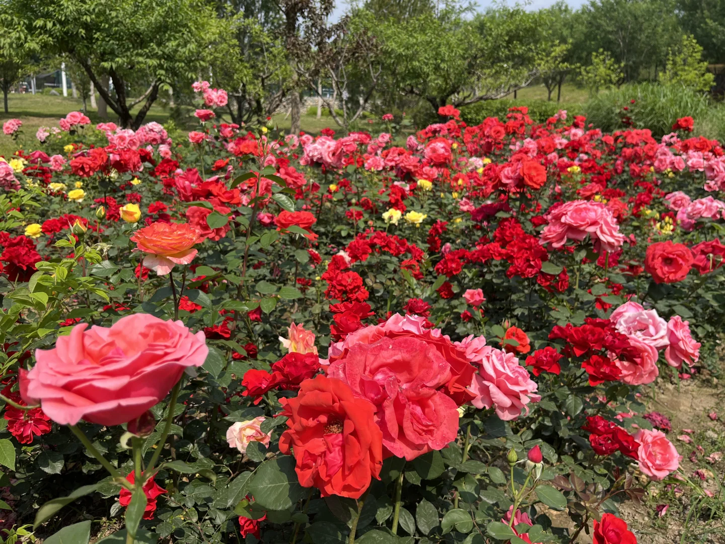 终于能把北京几日游说明白了