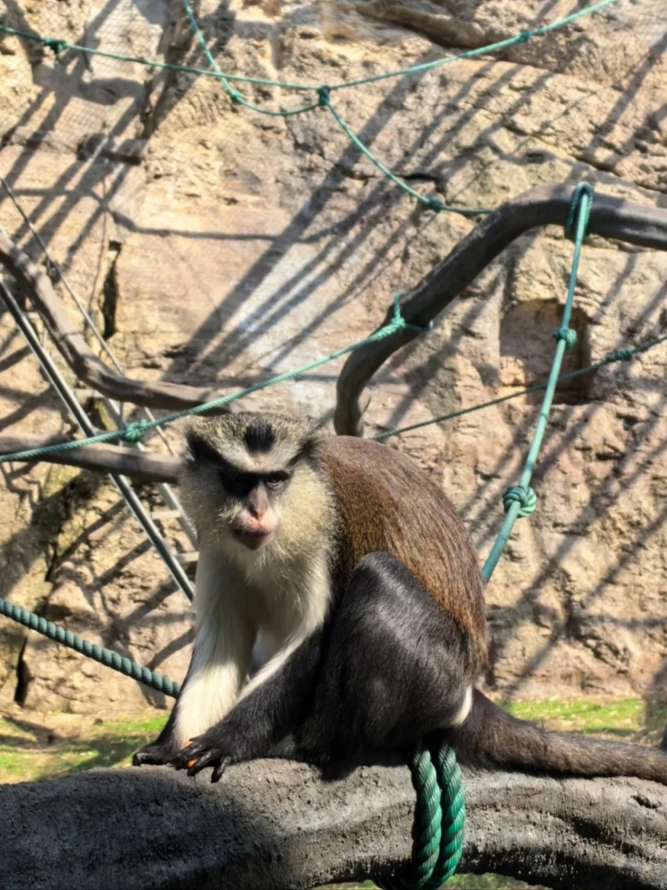 中南百草园实用攻略,带娃玩透一整天🎈