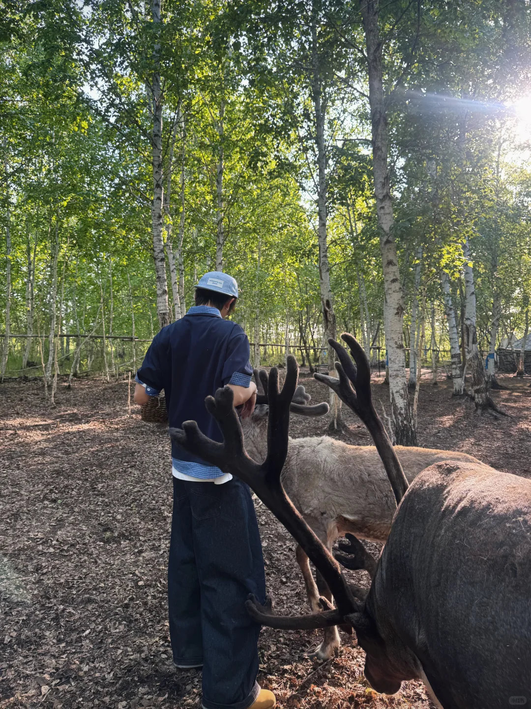我不再内耗 我在内蒙（18图版）