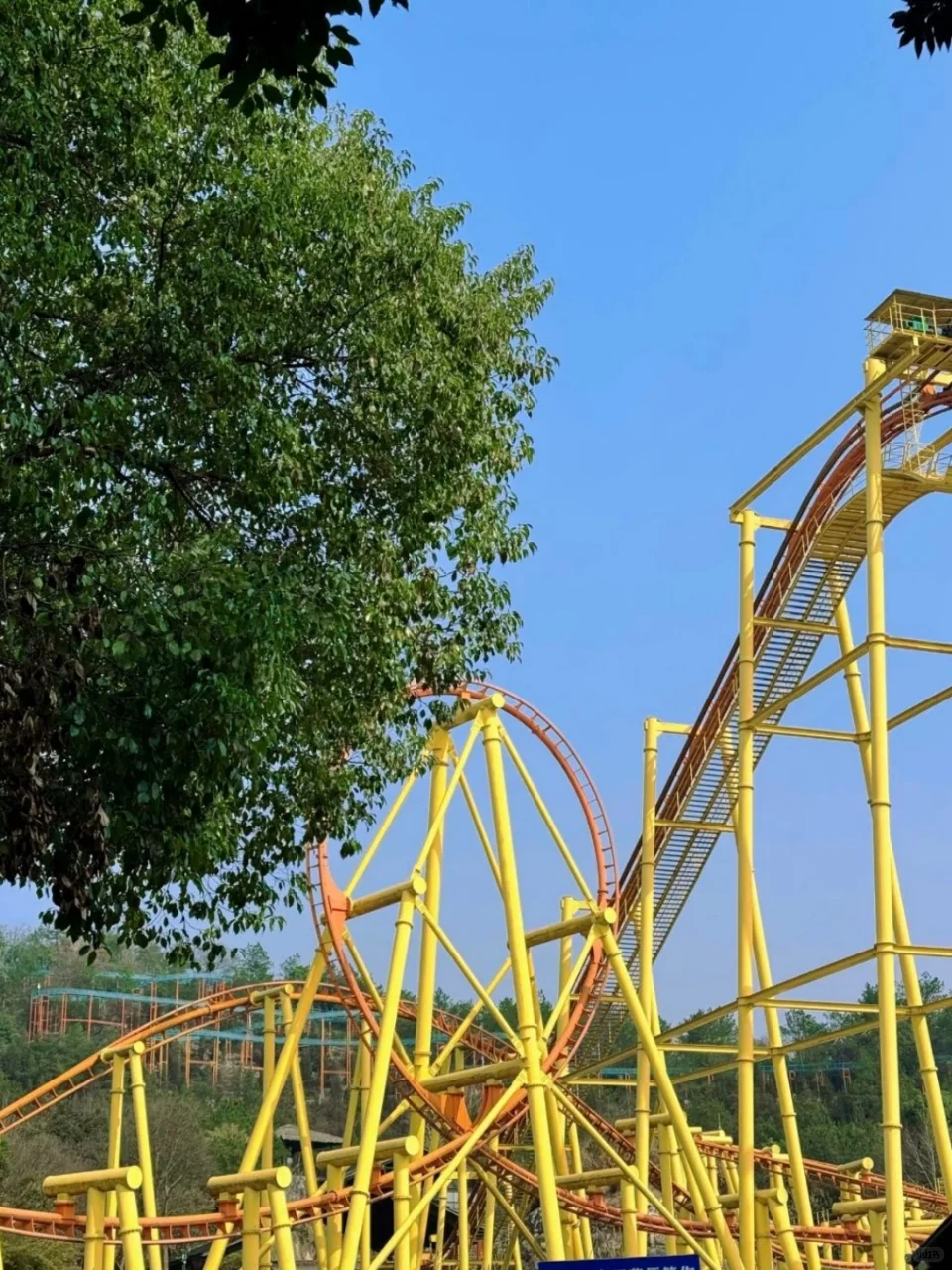 中南百草园实用攻略,带娃玩透一整天🎈