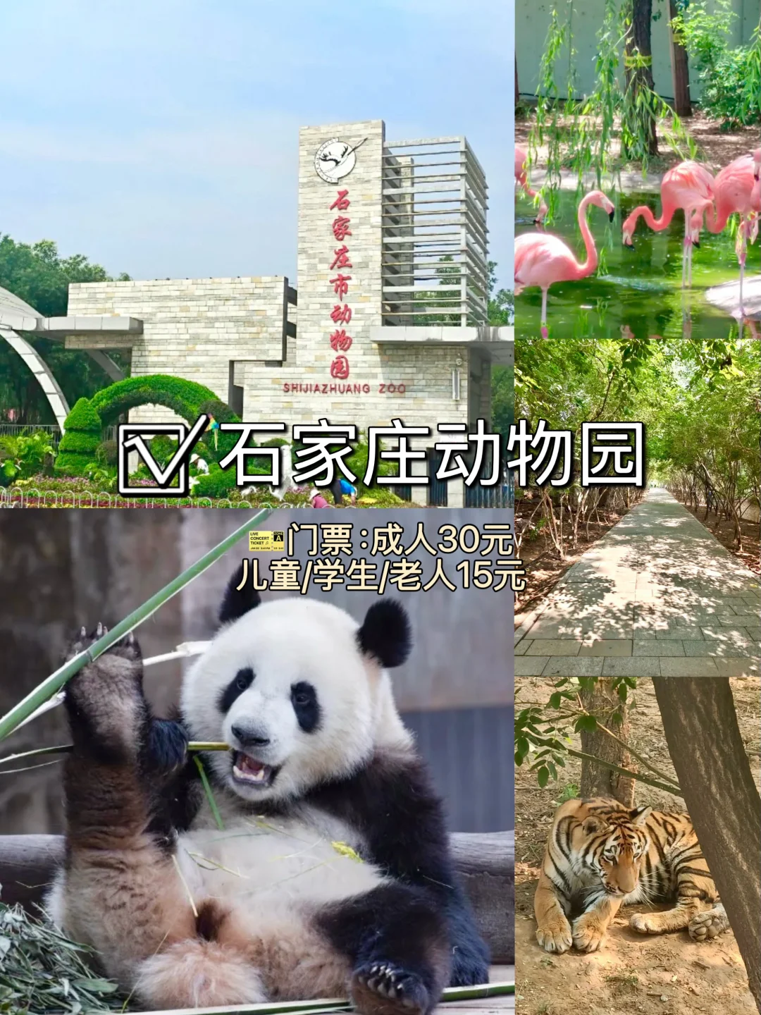 📍石家庄周边游｜逃离城市计划