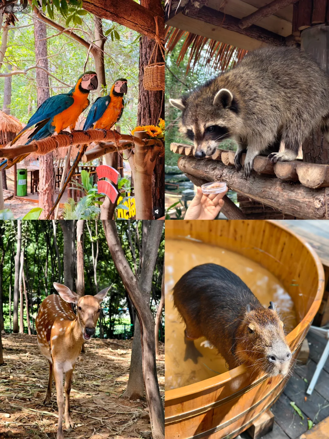 茅山亲子遛娃，说点真心话：玩不够根本玩不够
