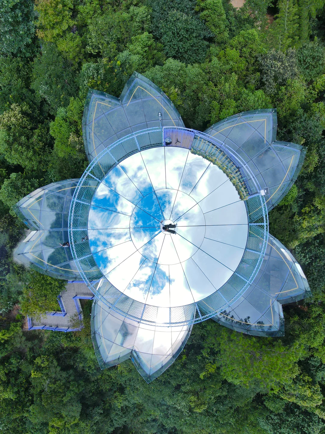 杭州出发1.5h!我发现个江浙沪宝藏山野乐园!