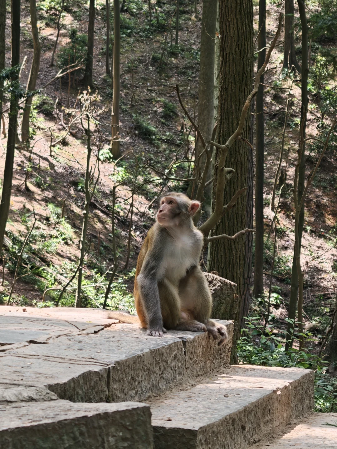 旅游中的记忆点，与大自然拥抱，享受生活！