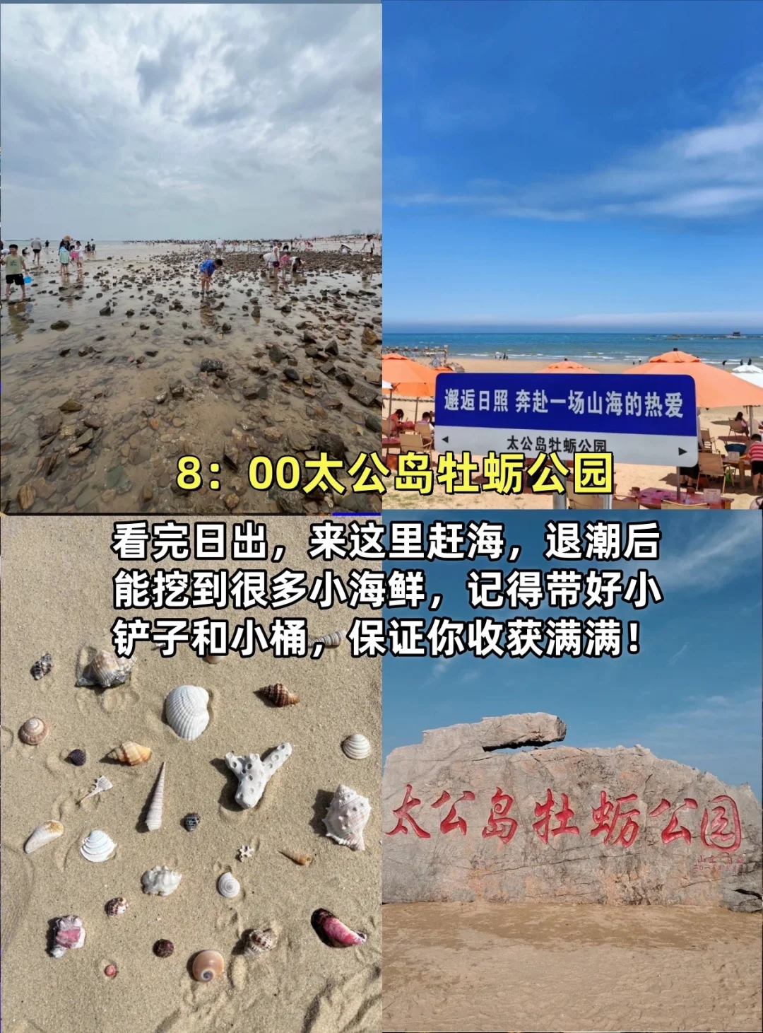 日照旅游特种兵版！一天逛完8个热门景区