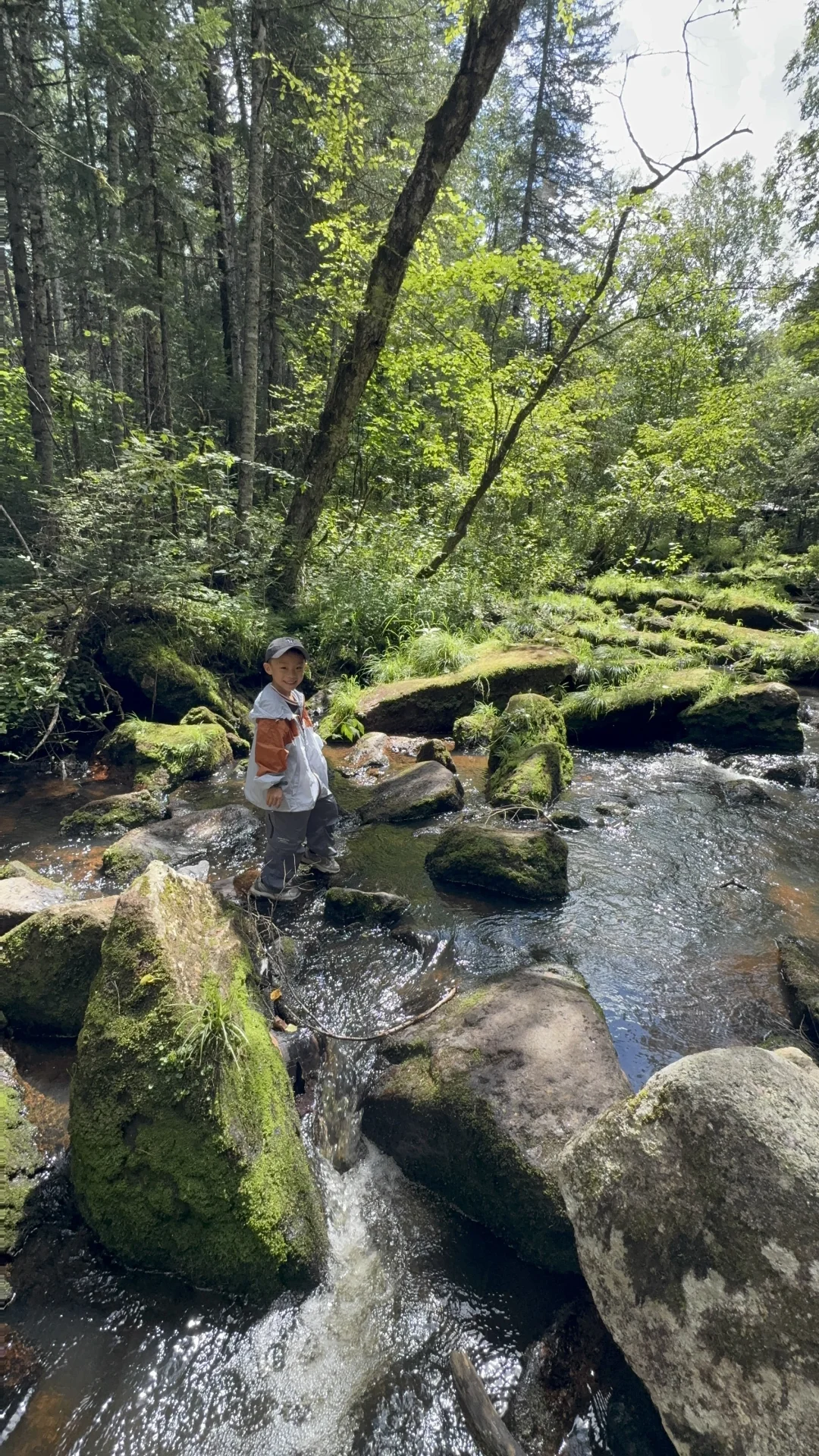 汤旺河攻略｜6大景区放弃2个，一天玩透精华