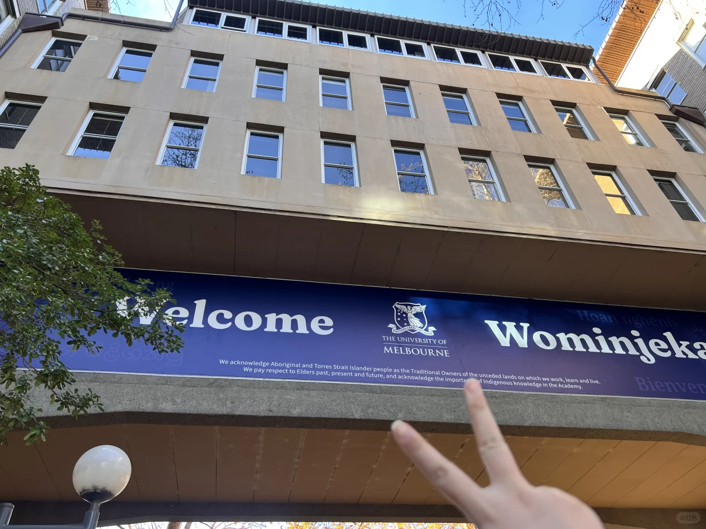 🇦🇺｜终于明白为什么墨尔本是最宜居的城市