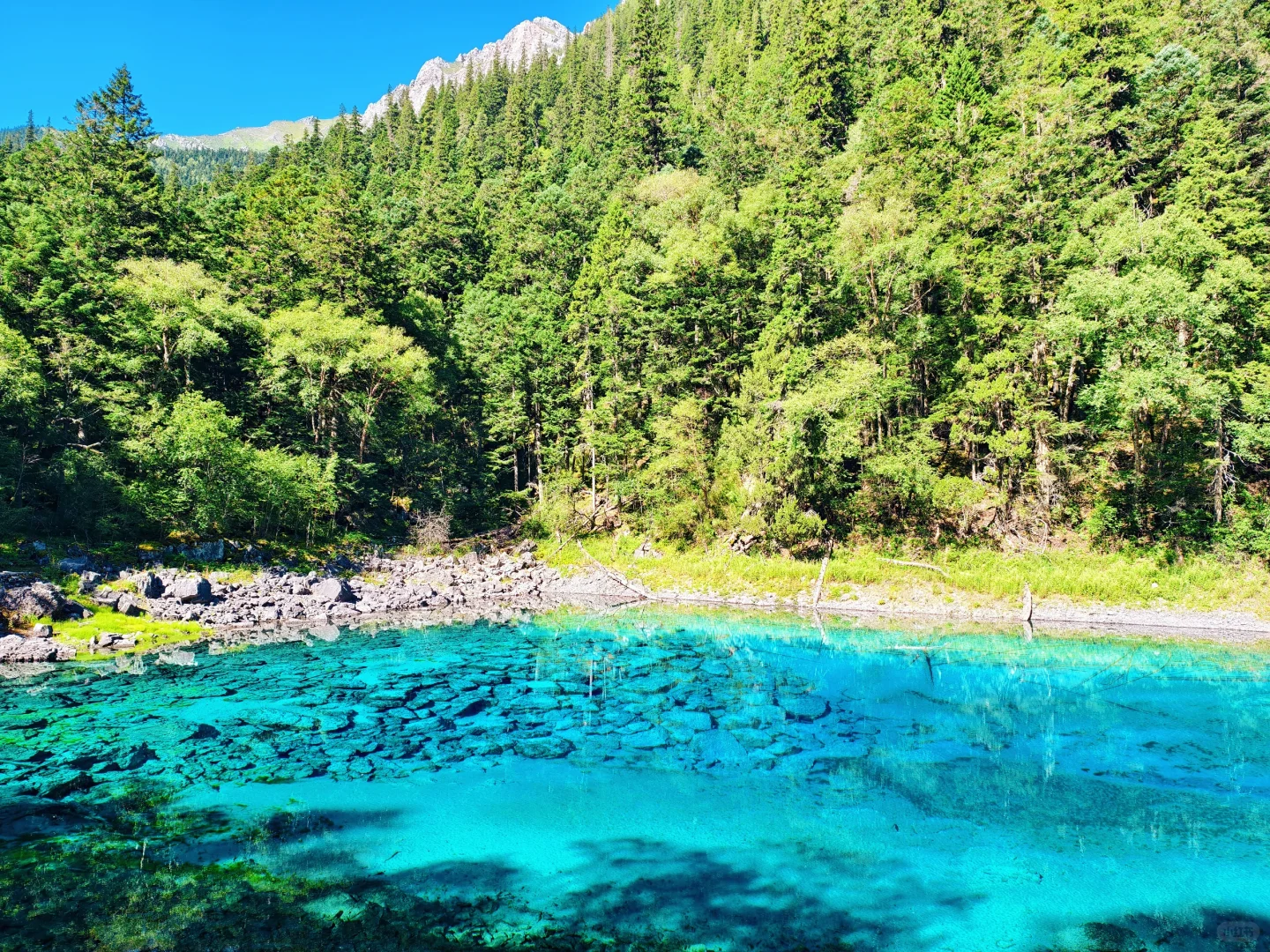 8.14九寨沟实况，人多但是景区调度很强大