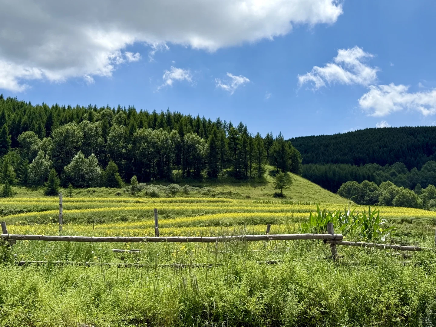 山西隐藏版“小瑞士”！专属于这个季节的美！