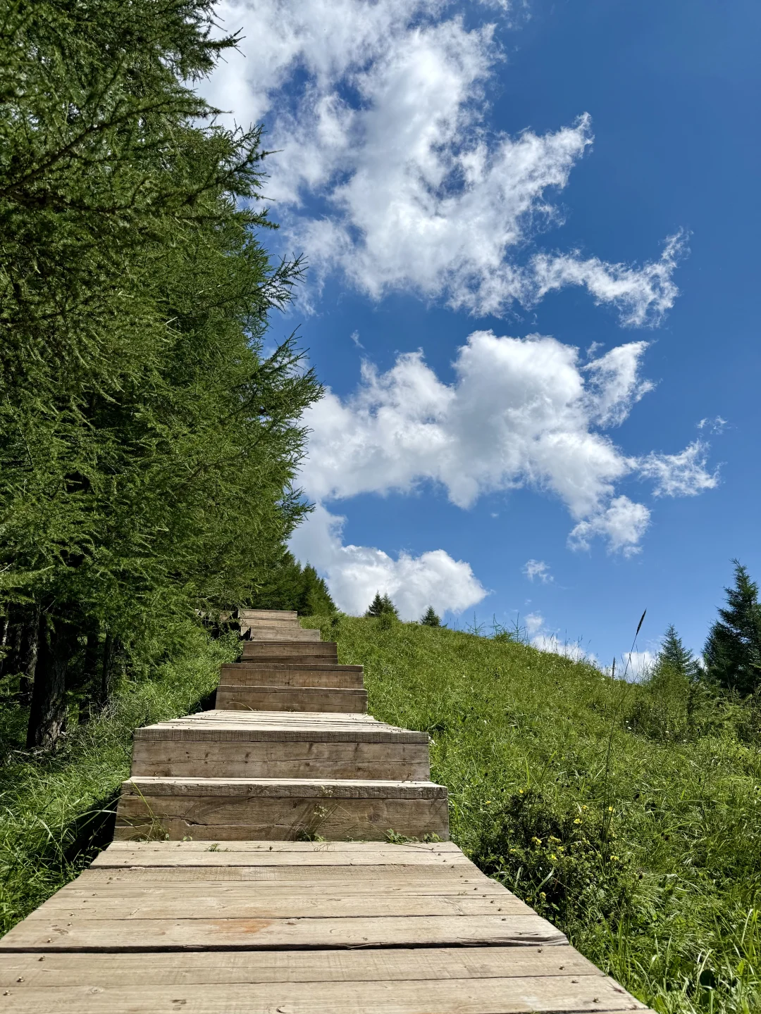 山西隐藏版“小瑞士”！专属于这个季节的美！