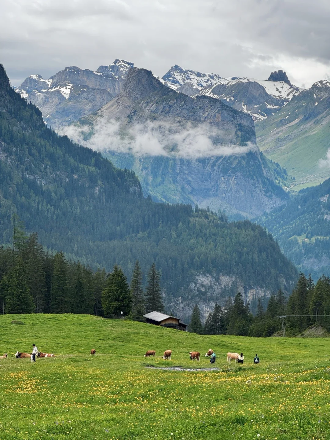 🇨🇭 Oeschinensee 厄希嫩湖