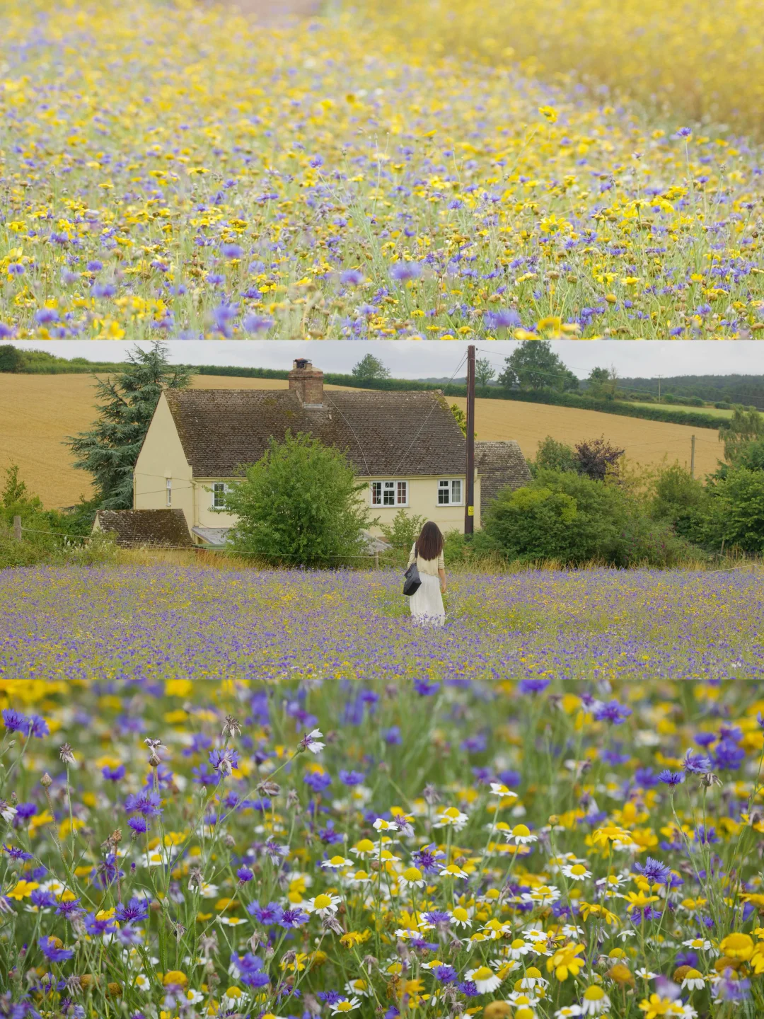 英国归来，旅行就是在重塑世界观