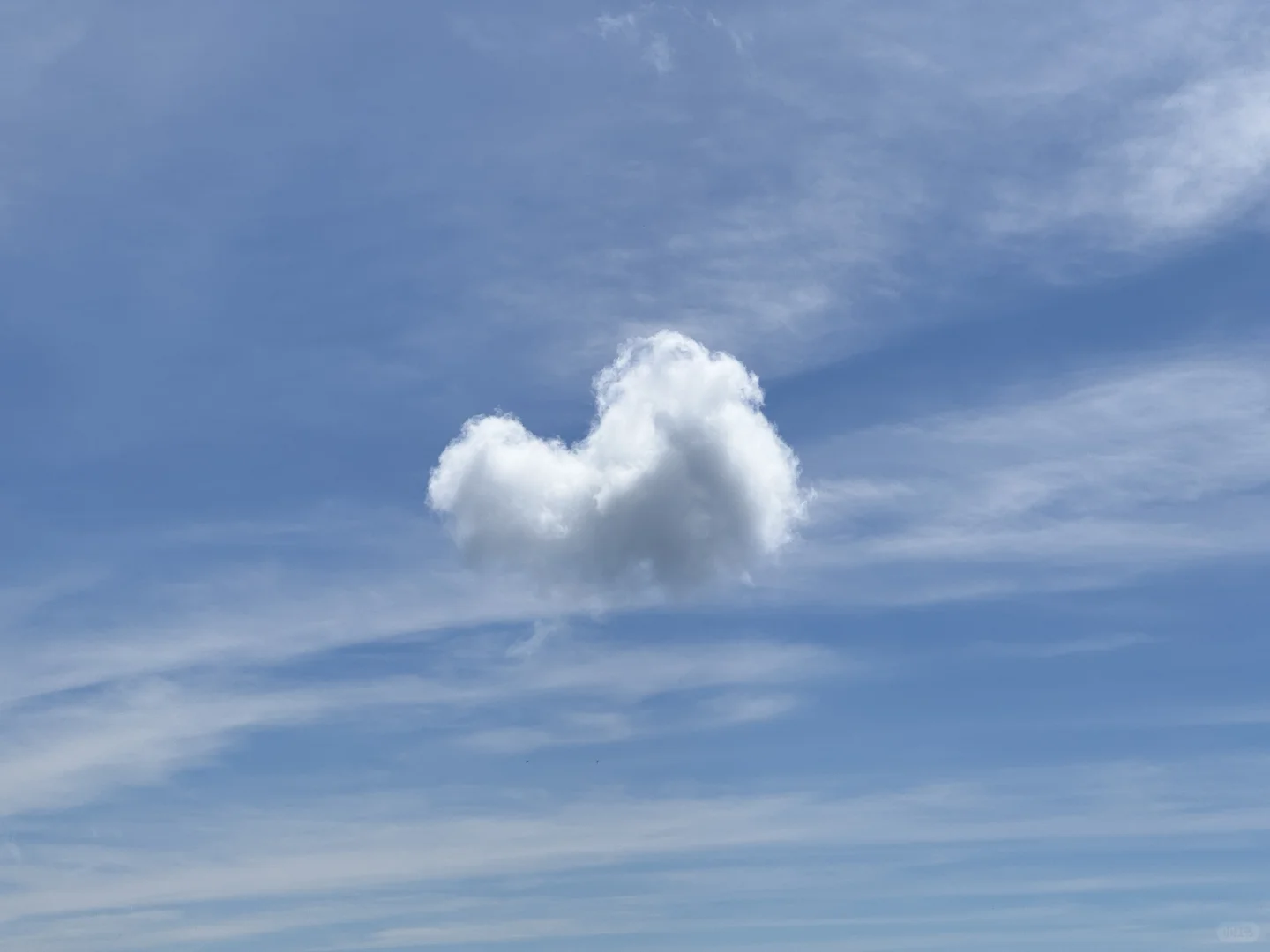 茂名（粤西）第一峰——大田顶打卡情况