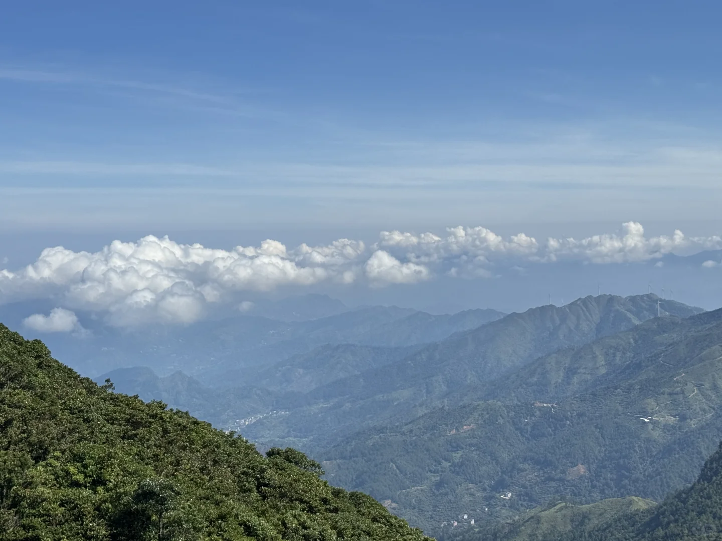 茂名（粤西）第一峰——大田顶打卡情况