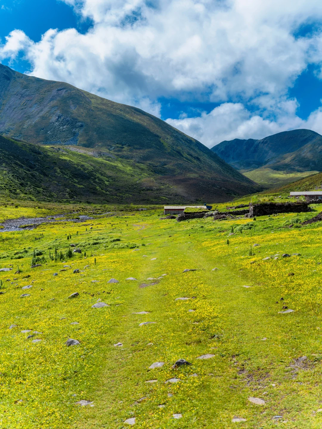 七色海真的是yyds，不去后悔！