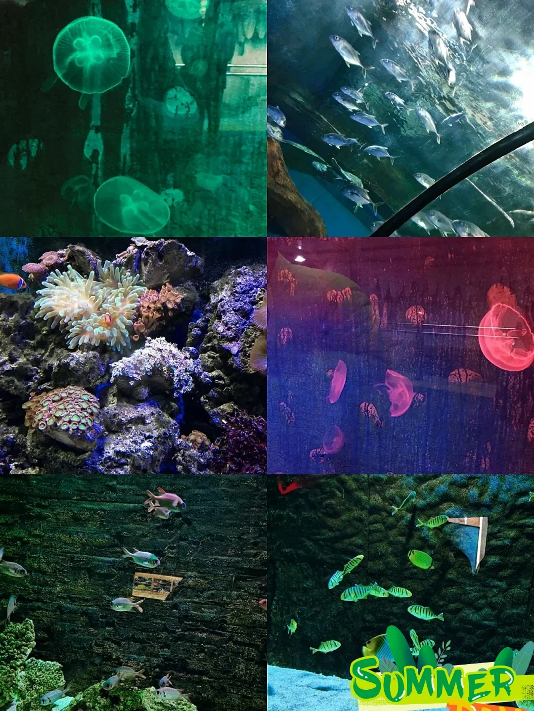 新乡必去五大景点攻略‖毕业旅行必去💕