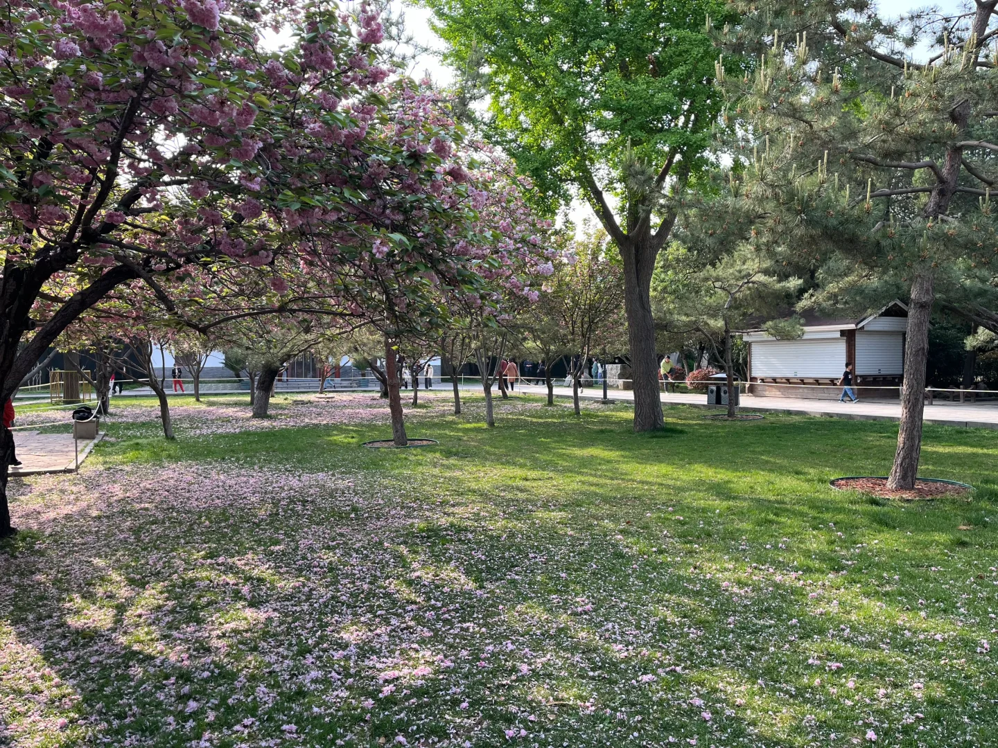 记录第一站-邯郸