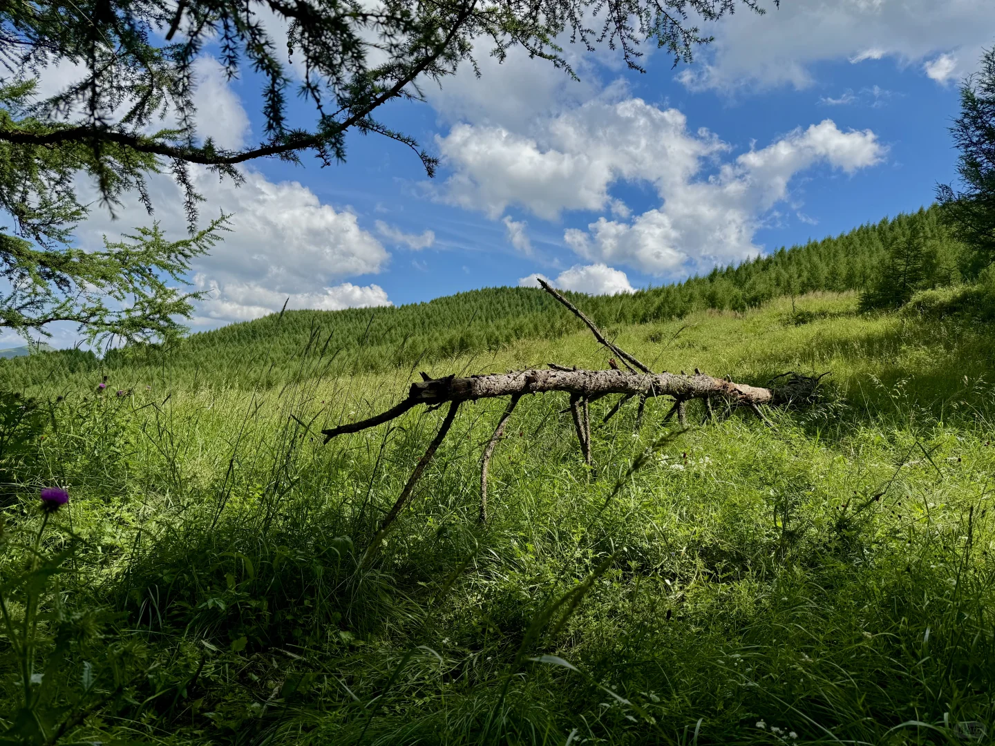 山西隐藏版“小瑞士”！专属于这个季节的美！