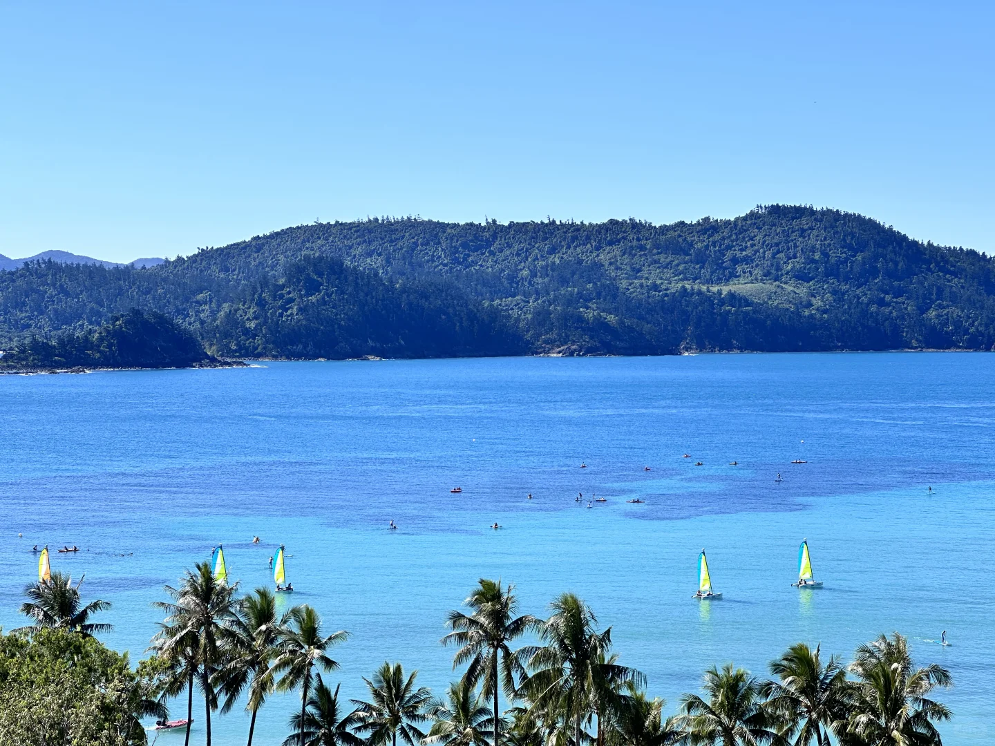 我宣布！这里是我的人生海岛！！😍😍😍