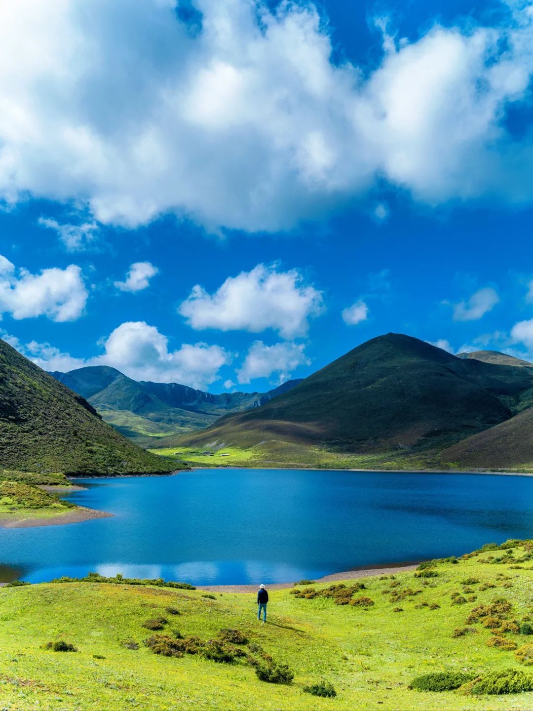 七色海真的是yyds，不去后悔！