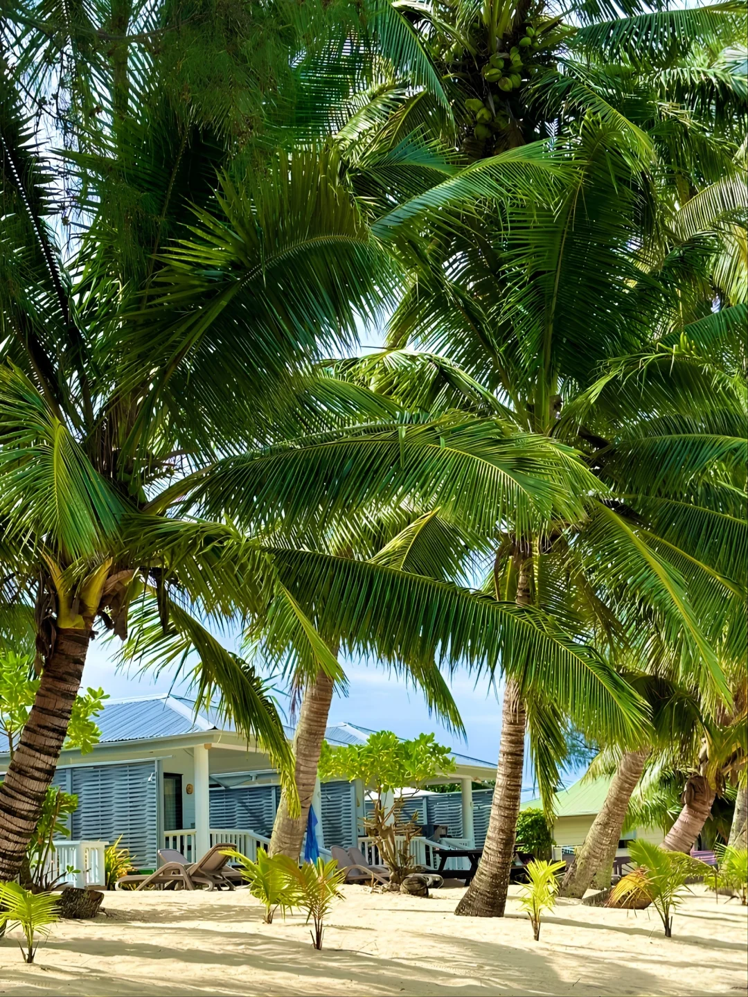 上班暂停！去这个免签冷门海岛，逃离班味