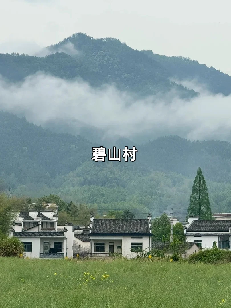 国内适合发呆的九个角落|心灵治愈指南