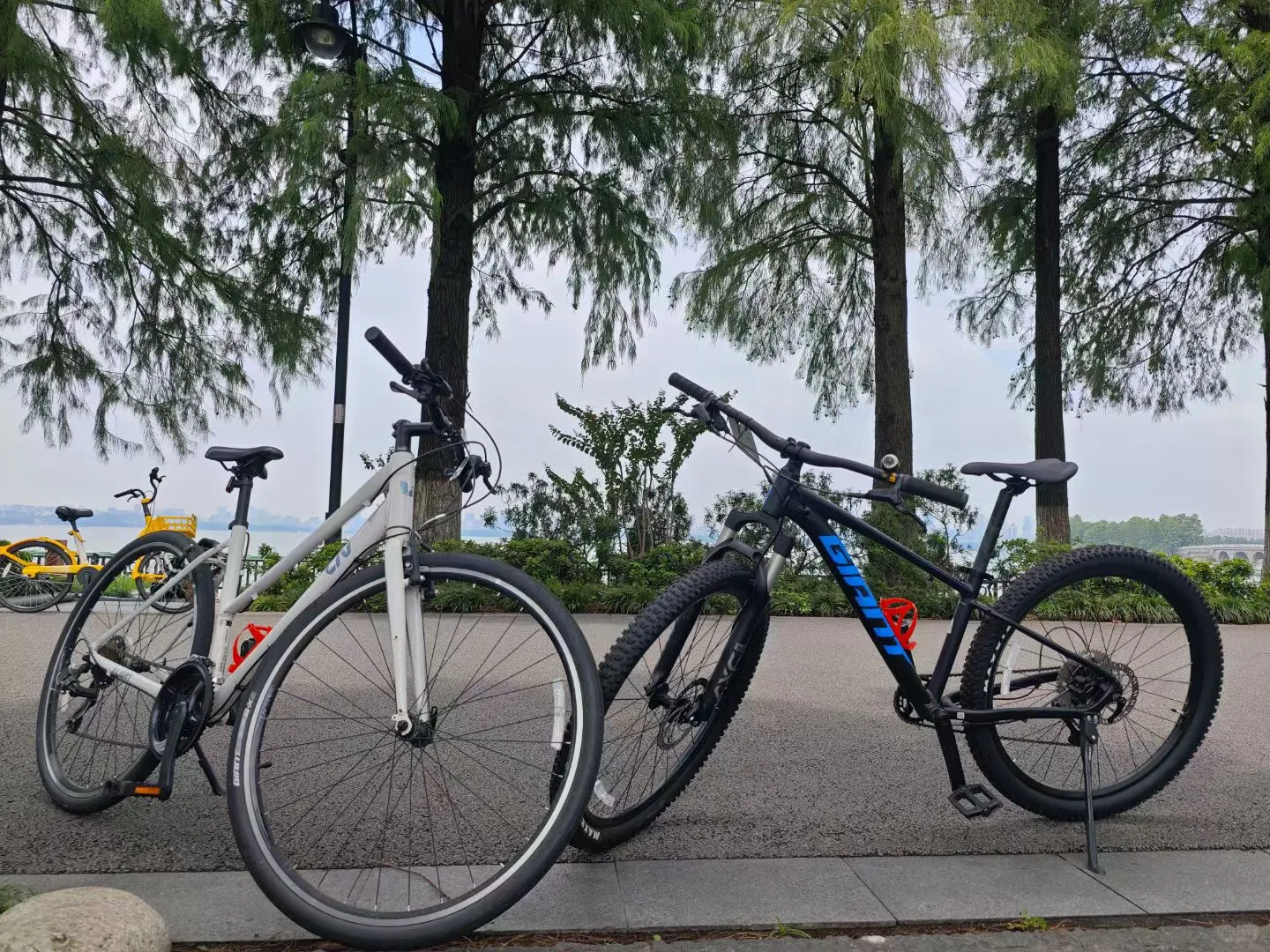 连续三年每年必打卡景点🫡