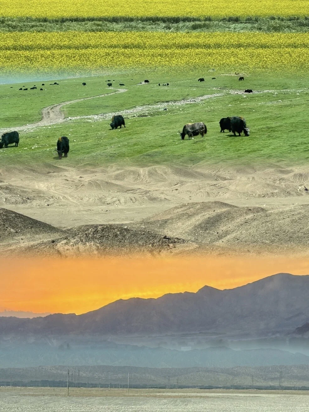 说真的，西北景点要懂得取舍，不用都去