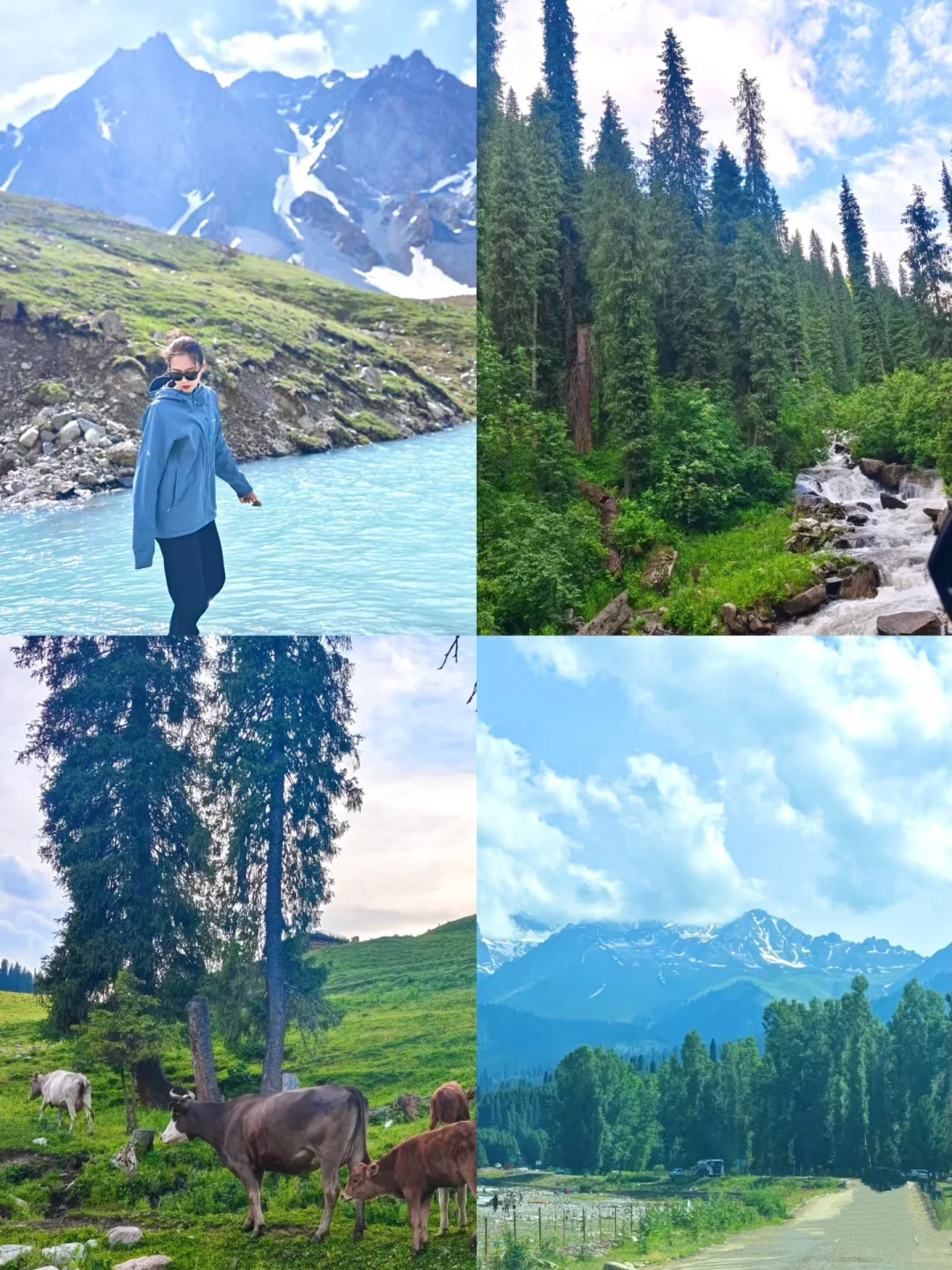 新疆亲子游6人小团太香了！玩嗨了‼️