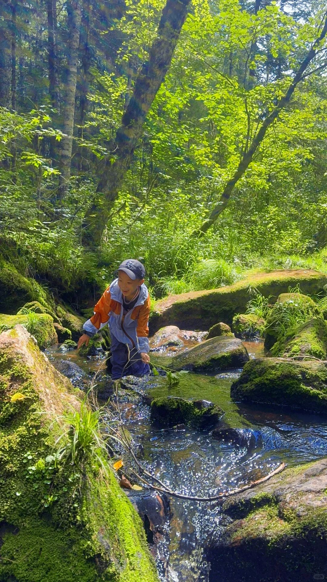 汤旺河攻略｜6大景区放弃2个，一天玩透精华
