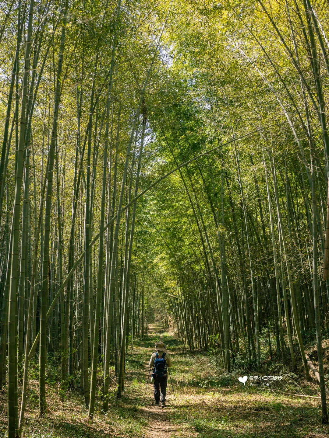 宜兴真的不用避坑！推荐7个小众免费景点
