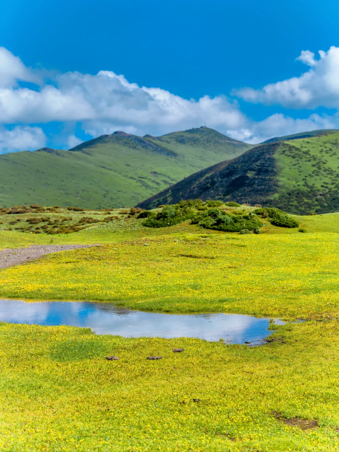 七色海真的是yyds，不去后悔！