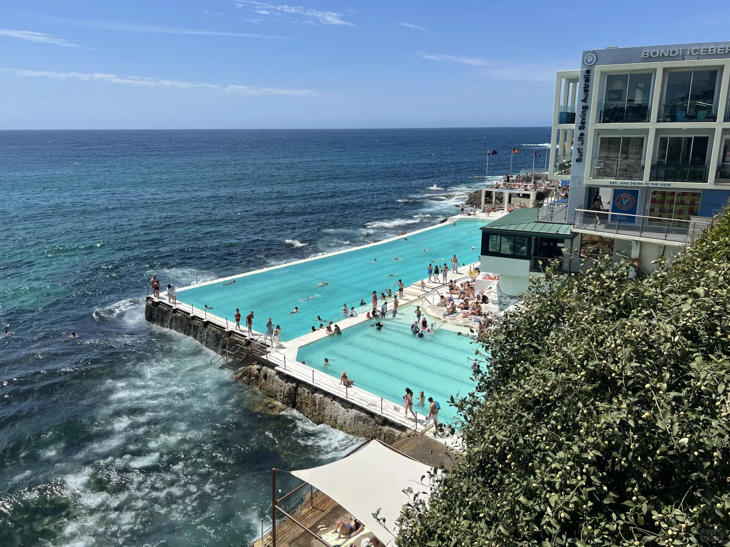 我建议所有第一次出国的人都去澳洲