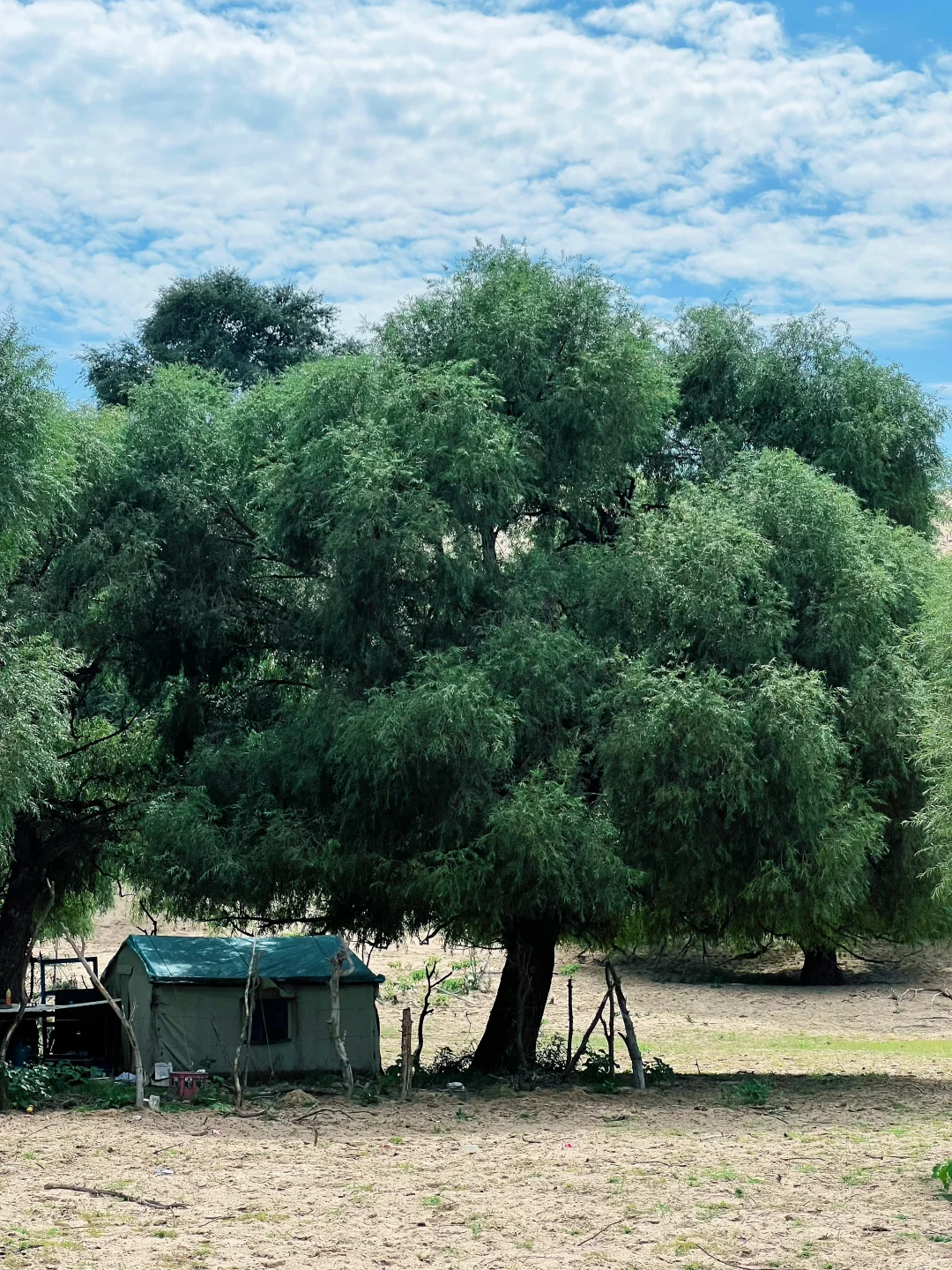 赤峰本地人都不知道的小众沙漠|响水荷花池