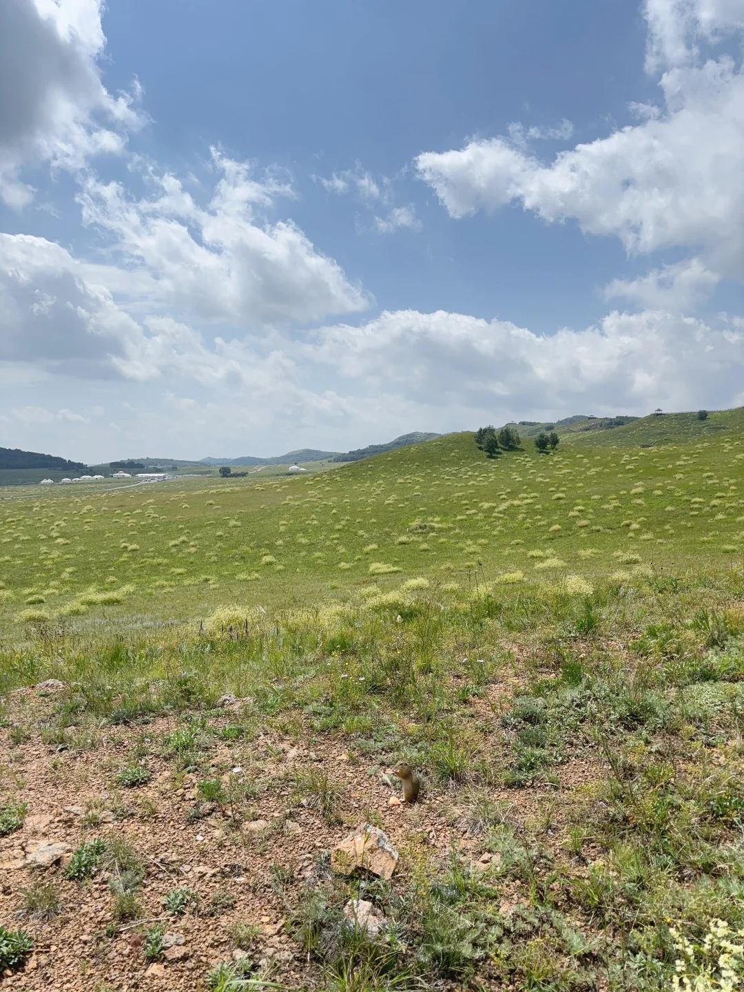 8月乌兰布统草原打卡，是惊喜也是错所不及