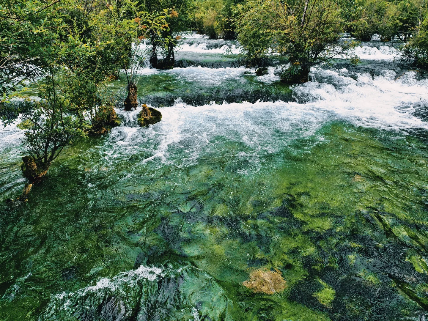 8.14九寨沟实况，人多但是景区调度很强大
