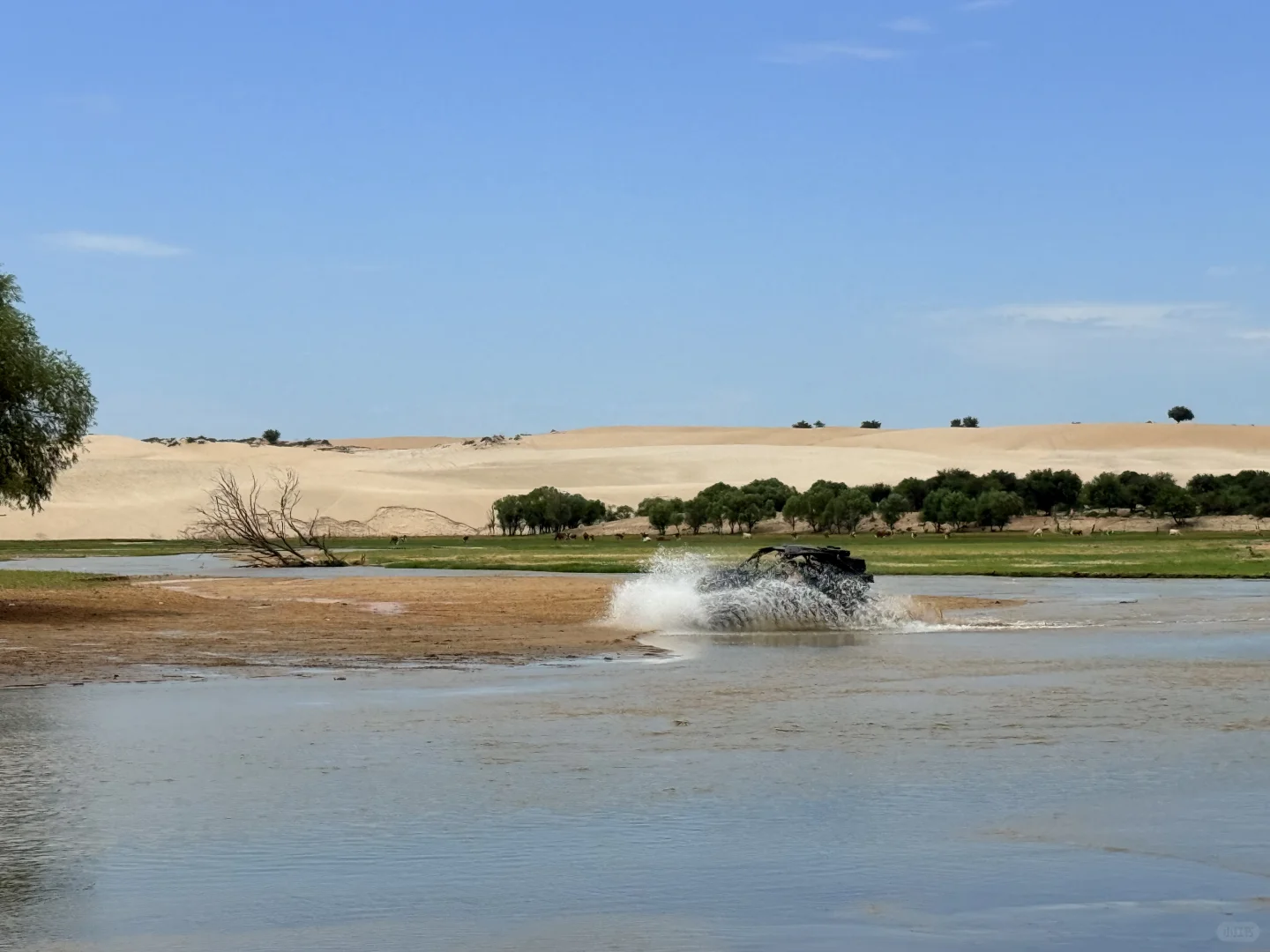 赤峰本地人都不知道的小众沙漠|响水荷花池
