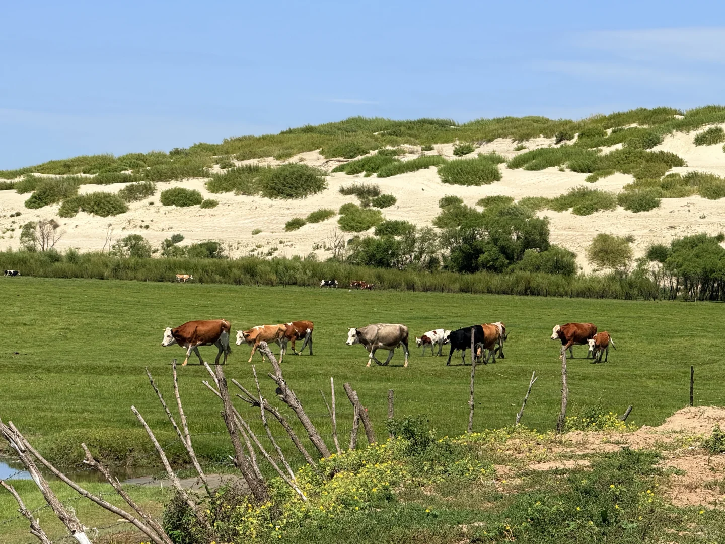 赤峰本地人都不知道的小众沙漠|响水荷花池