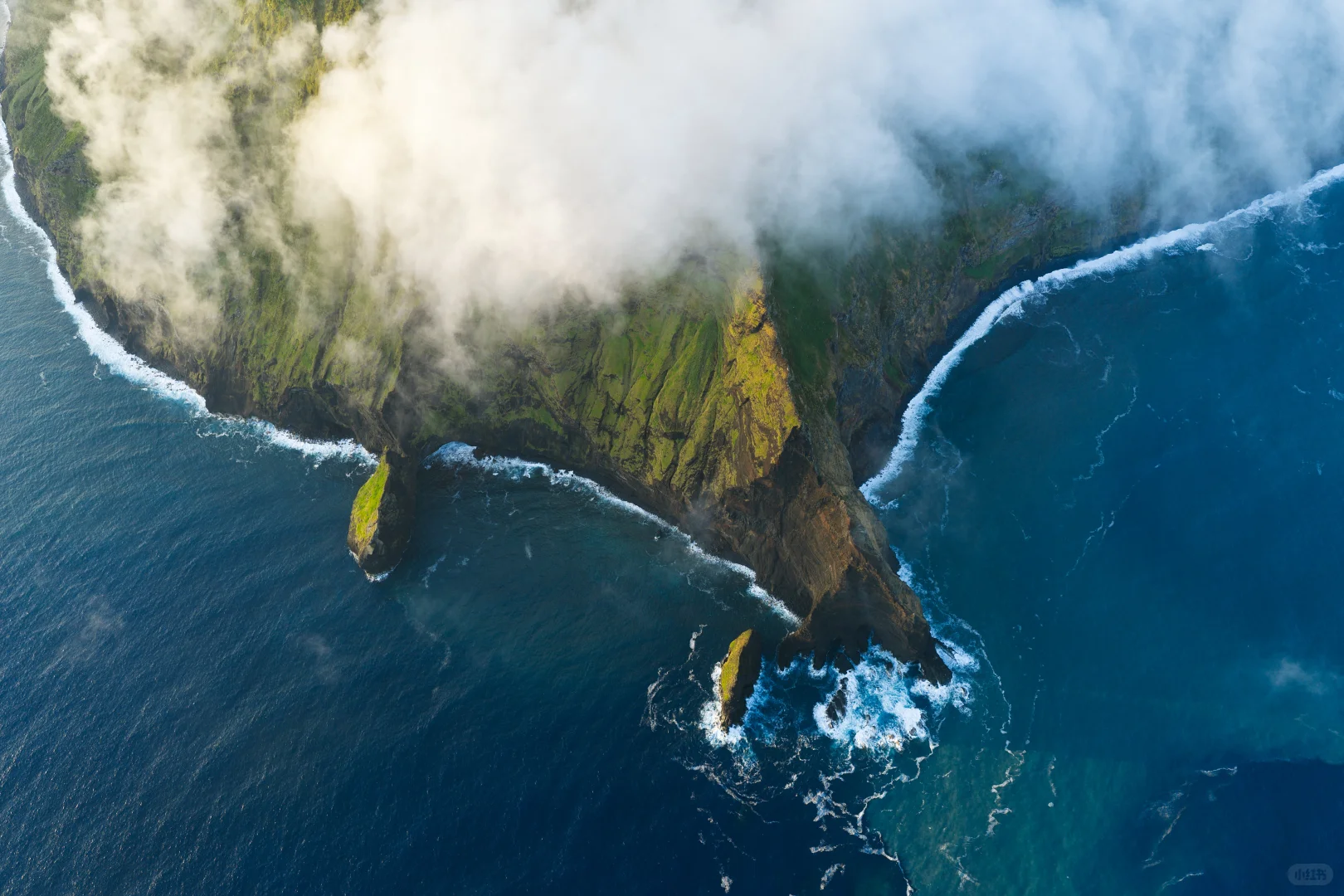和小螃蟹在亚速尔群岛