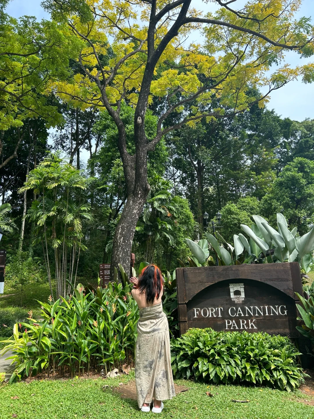 第一次出国|来新加坡🇸🇬你有1500就够了