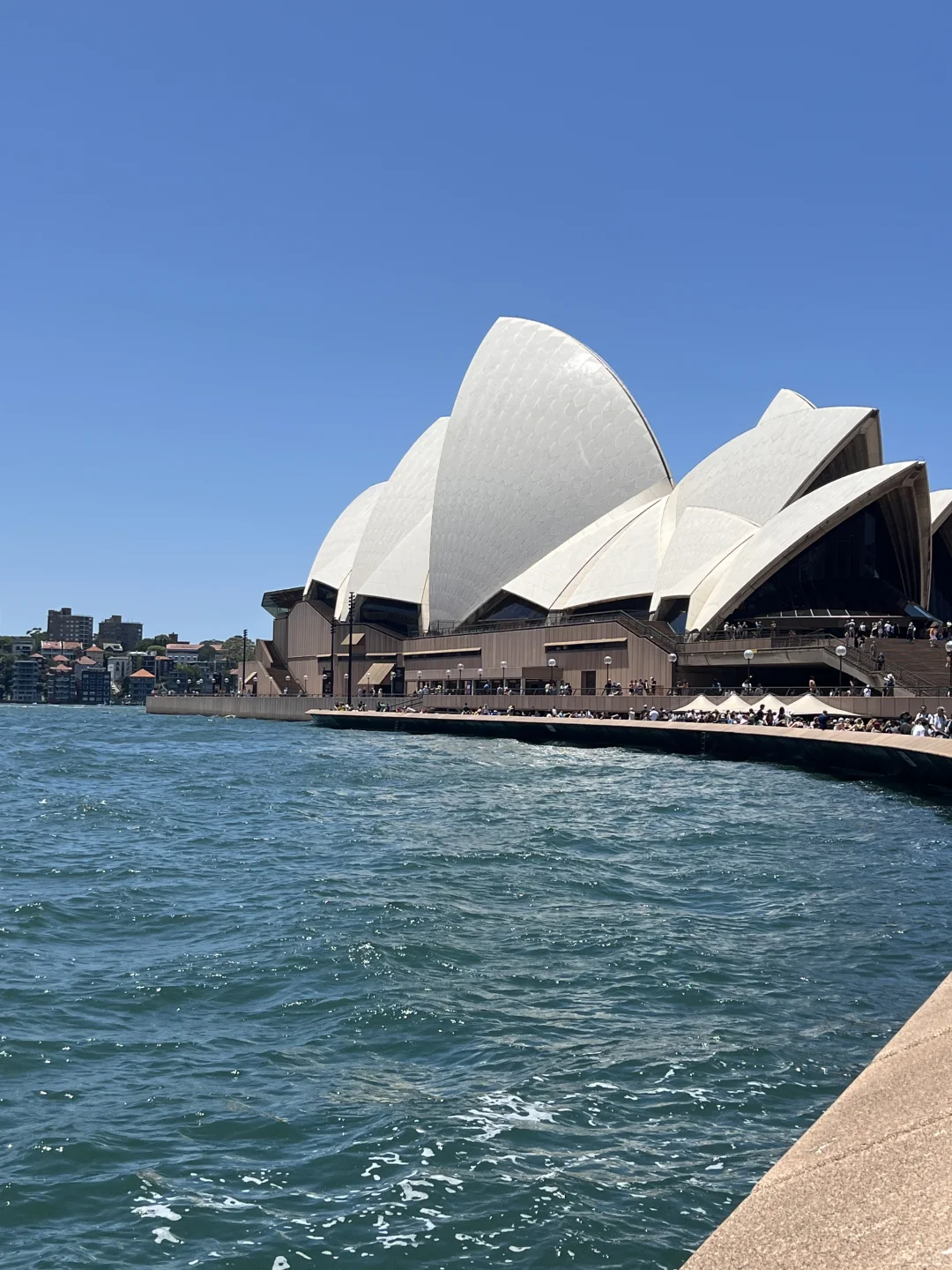 我建议所有第一次出国的人都去澳洲