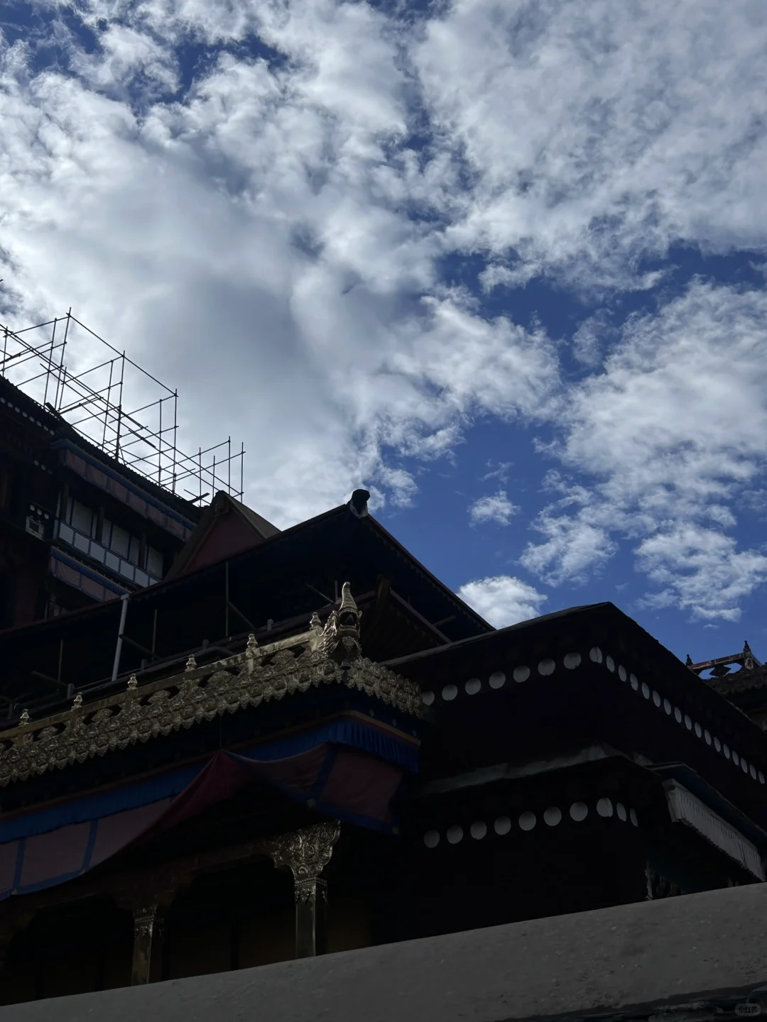 36岁开启旷野人生