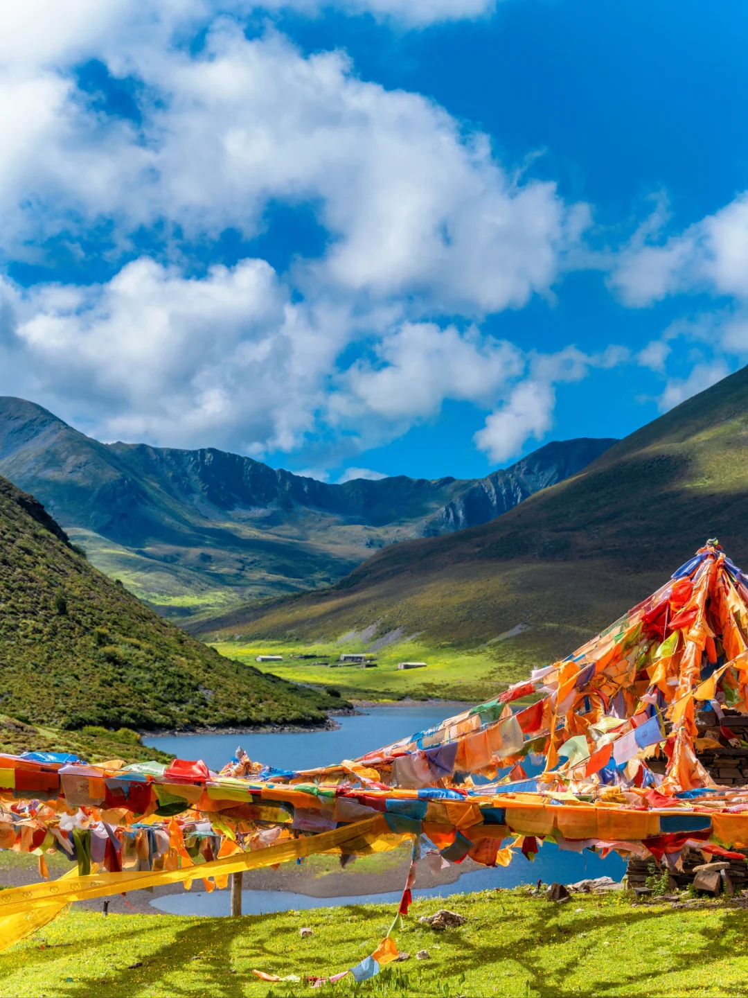 七色海真的是yyds，不去后悔！