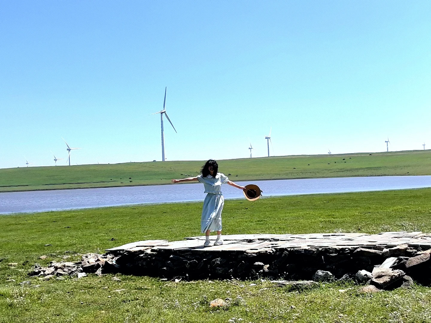 辉腾锡勒草原,牛马的天堂