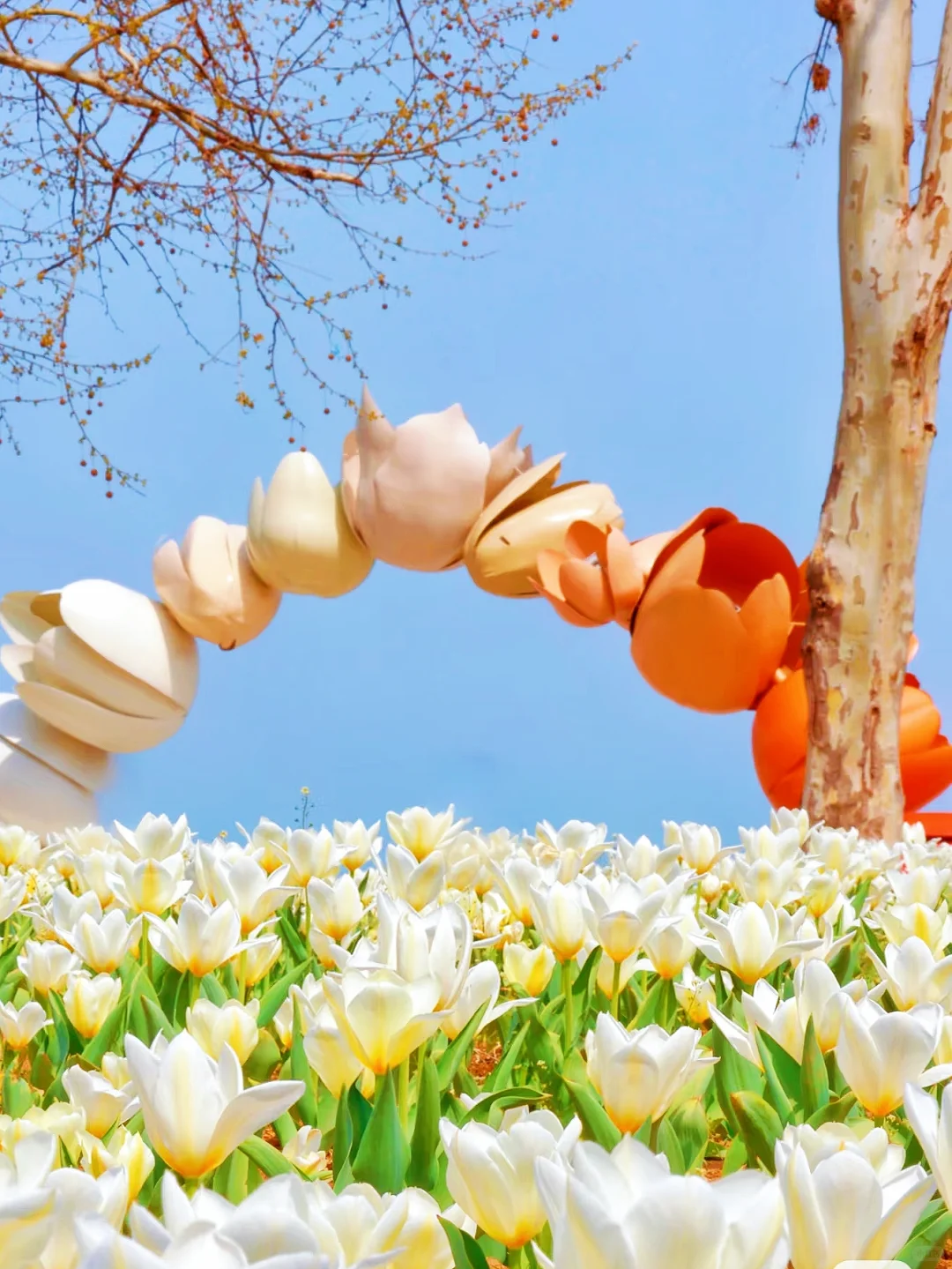 💕烟台‼️最适合ENFJ的地方出现啦