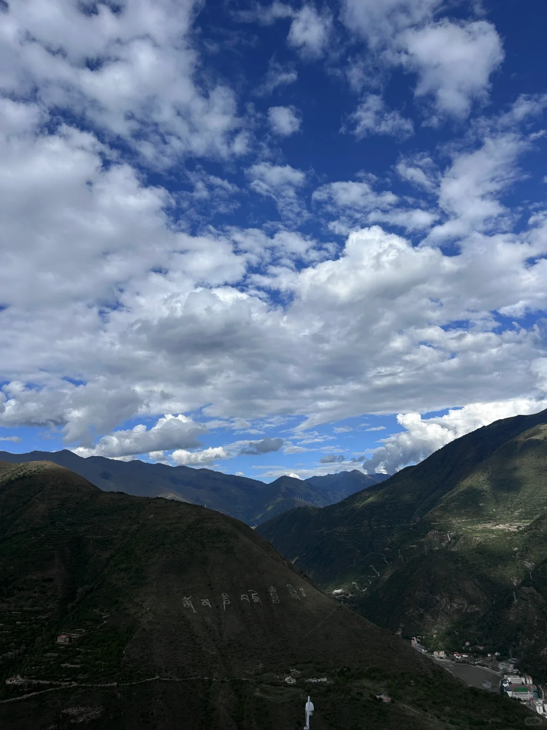 36岁开启旷野人生