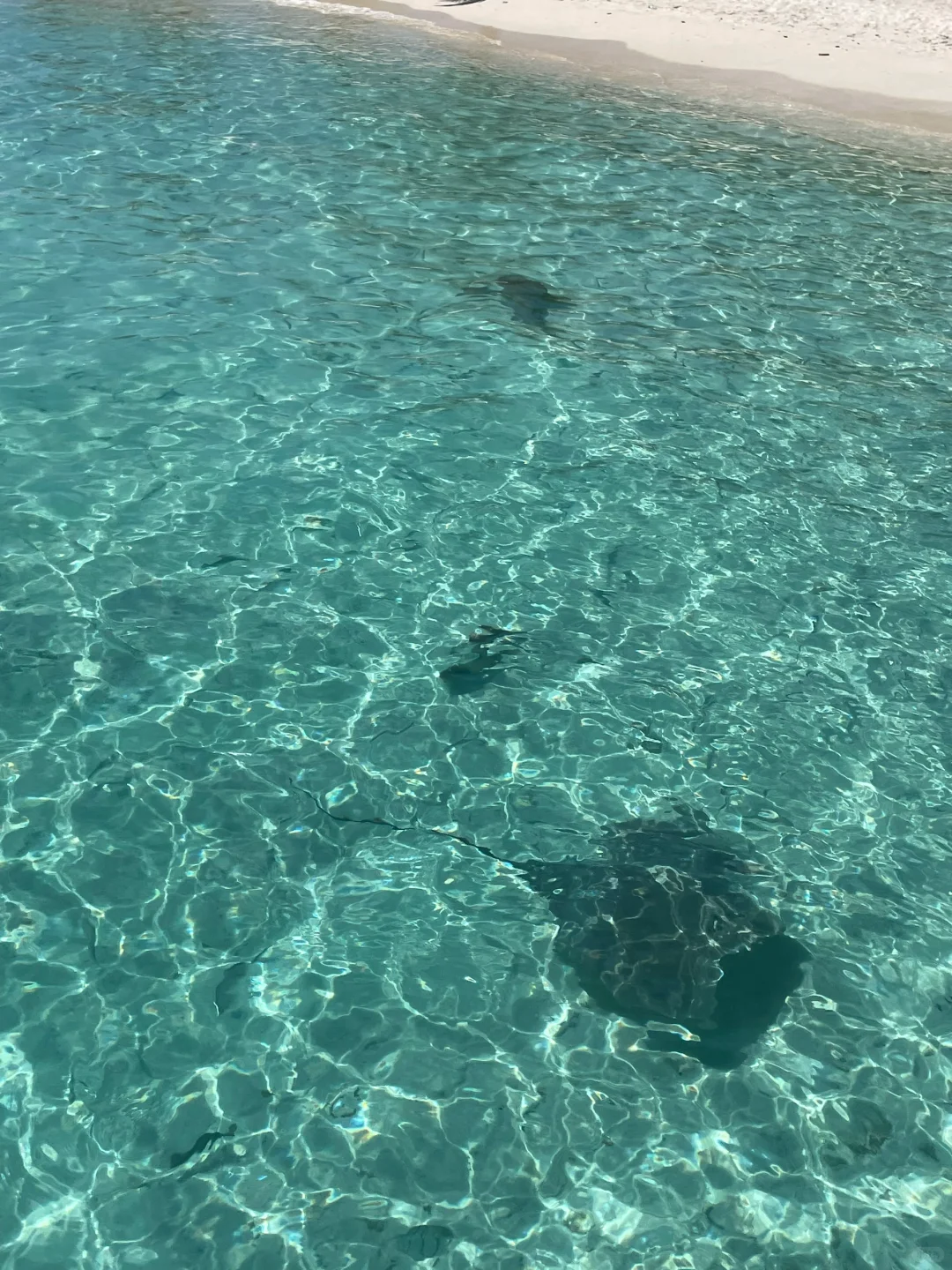 花2万多旅行十几国，我是怎么做到的