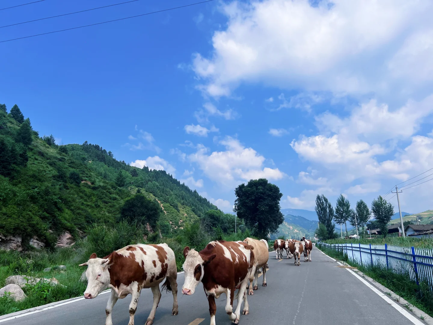 逃离天津｜一个攻略，玩转忻州！