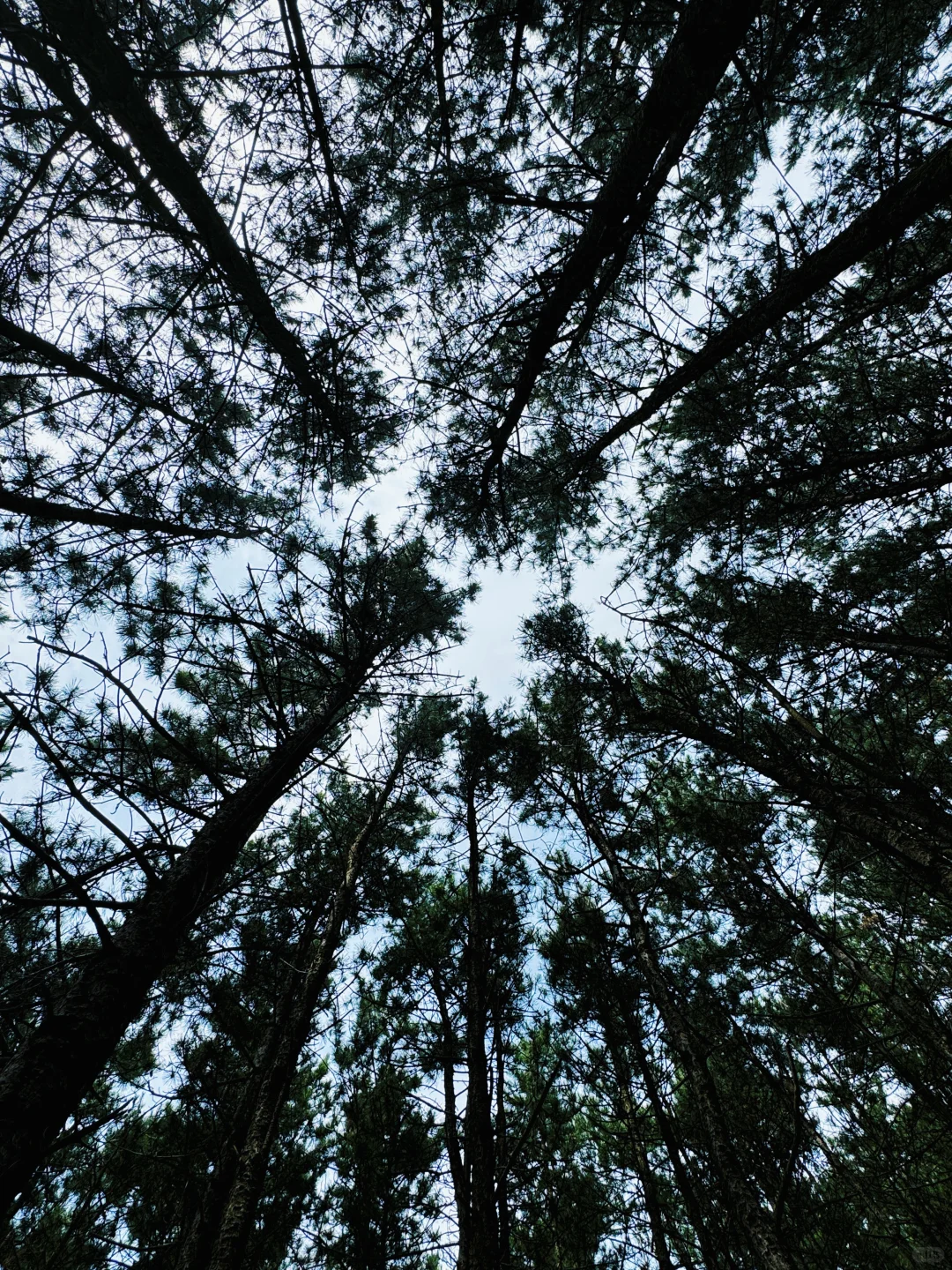 北京2h直达的绿野仙踪